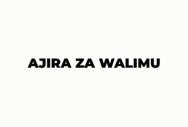 Ajira Mpya za Walimu 400
