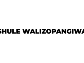 Shule walizopangiwa Kidato cha Tano 2026