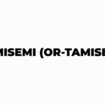 TAMISEMI (OR-TAMISEMI)
