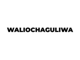 Waliochaguliwa Kidato cha Tano